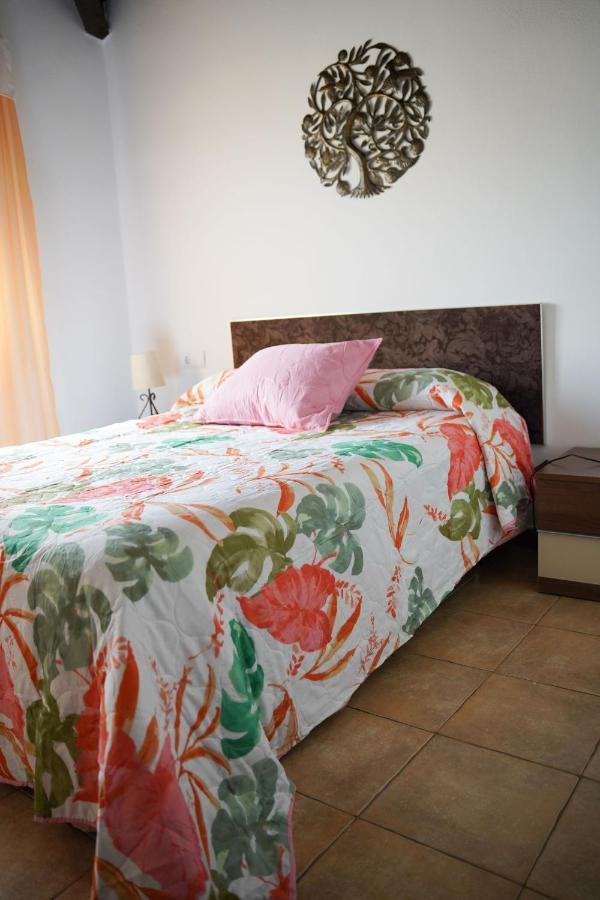 La Casilla Guest House Deltebre Ngoại thất bức ảnh