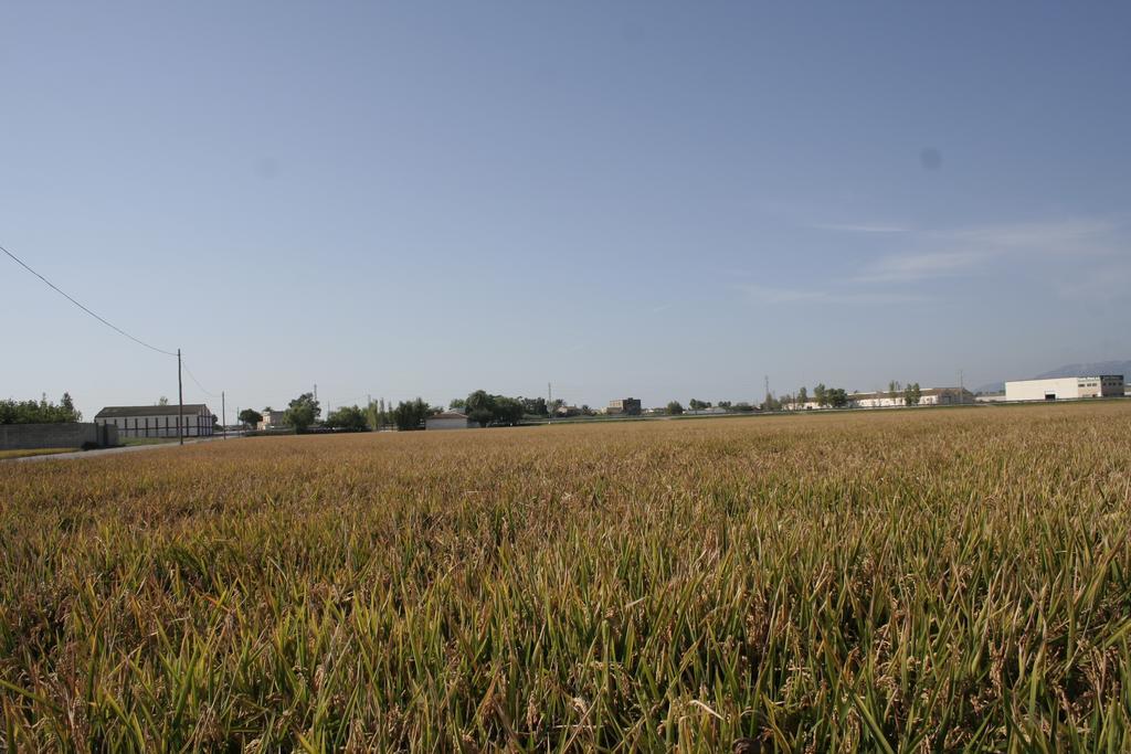 La Casilla Guest House Deltebre Ngoại thất bức ảnh